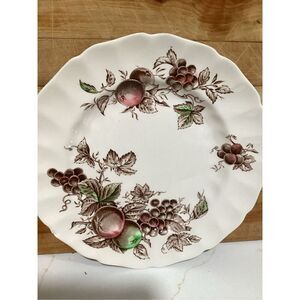 Johnson Bros Harvest Time Ceramic Dinner Plate 10” Made in England Vintage
